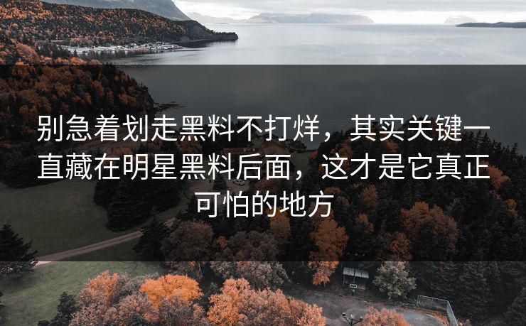 别急着划走黑料不打烊，其实关键一直藏在明星黑料后面，这才是它真正可怕的地方