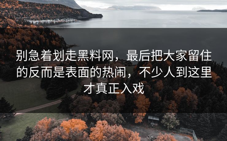别急着划走黑料网,最后把大家留住的反而是表面的热闹,不少人到这里才真正入戏