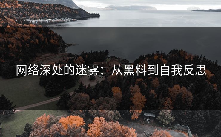 网络深处的迷雾:从黑料到自我反思