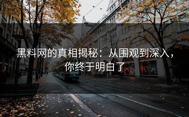 黑料网的真相揭秘:从围观到深入,你终于明白了