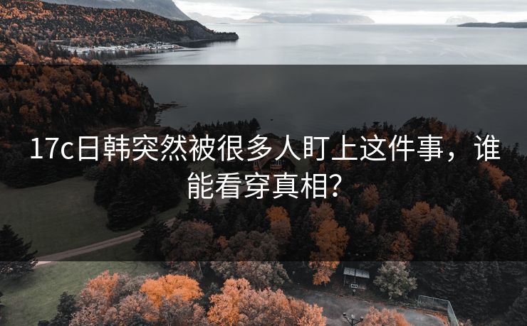 17c日韩突然被很多人盯上这件事，谁能看穿真相？