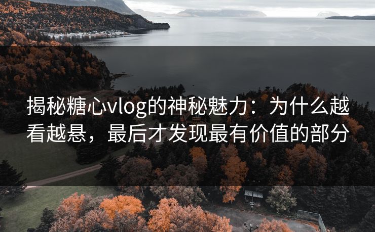 揭秘糖心vlog的神秘魅力:为什么越看越悬,最后才发现最有价值的部分