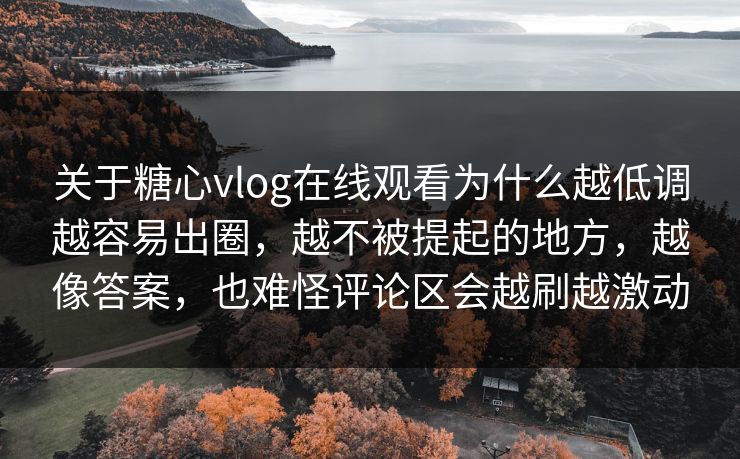 关于糖心vlog在线观看为什么越低调越容易出圈,越不被提起的地方,越像答案,也难怪评论区会越刷越激动