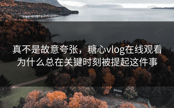真不是故意夸张,糖心vlog在线观看为什么总在关键时刻被提起这件事