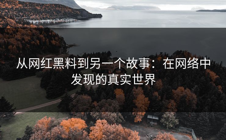 从网红黑料到另一个故事:在网络中发现的真实世界